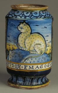 jar with cat
